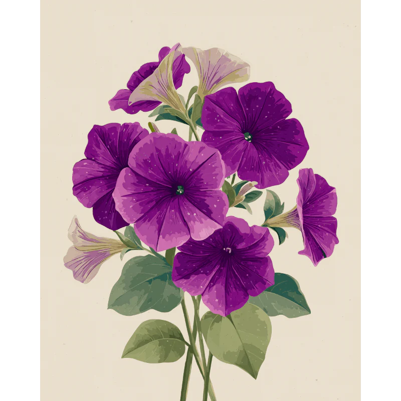 Malen nach Zahlen - Velvet Petunias
